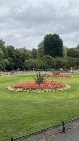 Foto 1 de 7