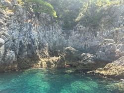 Foto 1 de 1