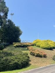 Foto 1 de 5