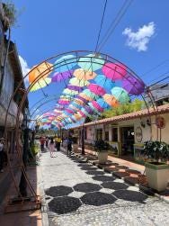 Foto 2 de 4