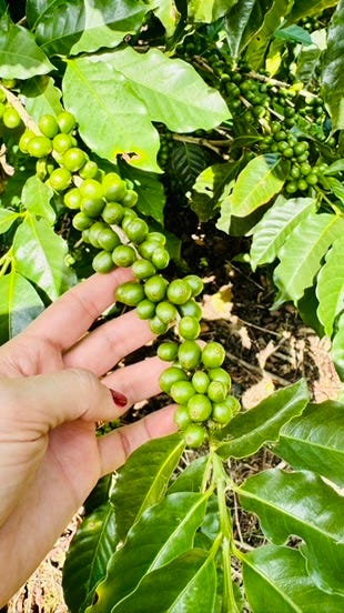 Foto 2 de 7