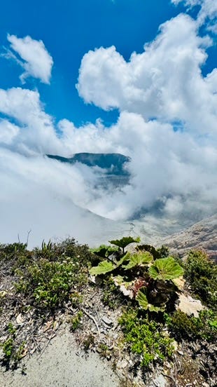Foto 4 de 7