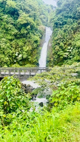 Foto 6 de 7