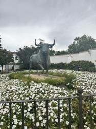 Foto 5 de 5