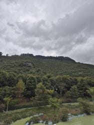 Foto 2 de 3