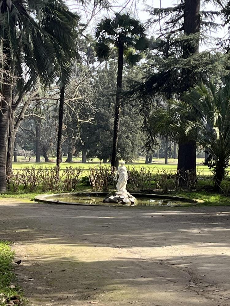 Foto 4 de 6