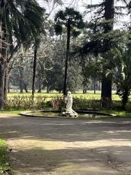 Foto 4 de 6