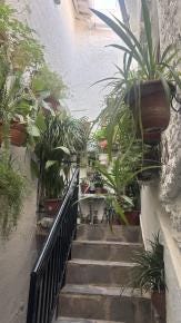 Foto 4 de 10