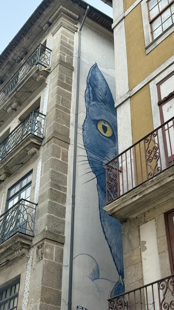Foto 2 de 5