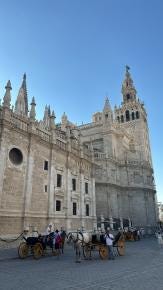 Foto 1 de 1