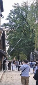 Foto 1 de 5