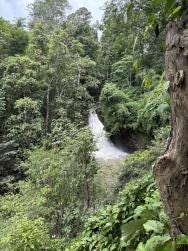 Foto 2 de 2
