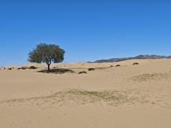Foto 10 de 10