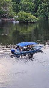 Foto 3 de 3