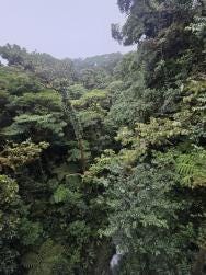 Foto 2 de 3