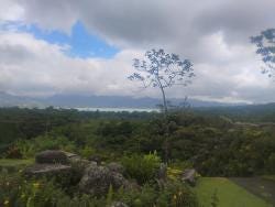 Foto 3 de 3
