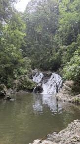 Foto 2 de 5