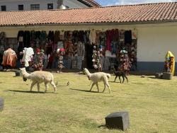 Foto 1 de 3