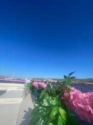Foto 1 de 1