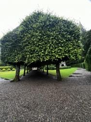 Foto {1} di {2}