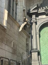Foto 1 de 1