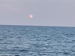 Image {1} of {2}