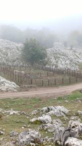 Foto 3 de 3