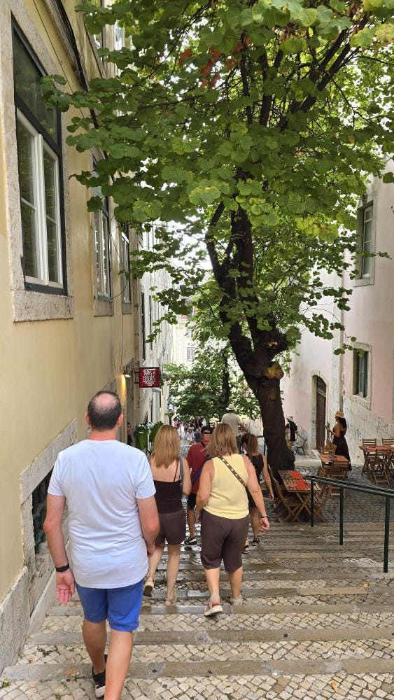 Foto 1 de 2