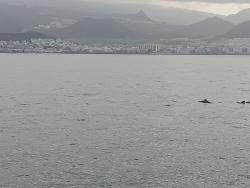 Foto 1 de 1