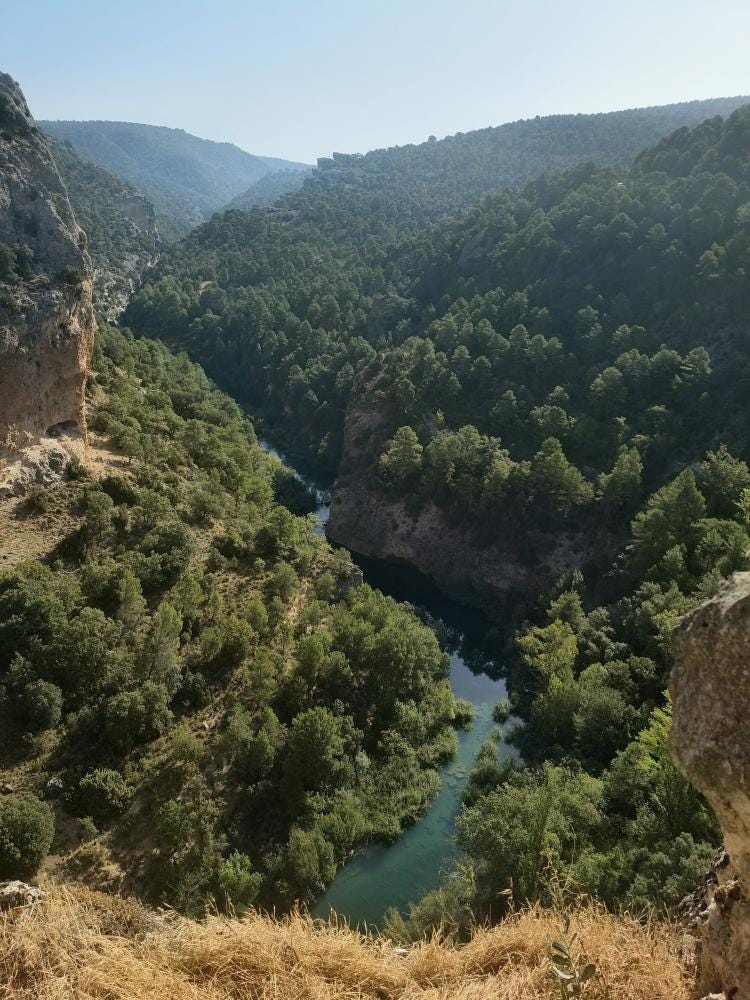 Foto 1 de 4
