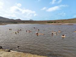 Foto 1 de 3