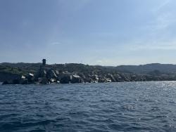 Foto 1 de 6