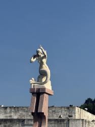 Foto 5 de 6