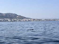Photo {1} sur {2}