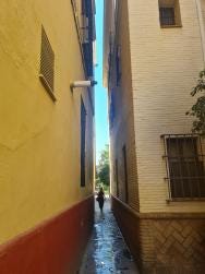 Foto 2 de 3