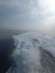 Image {1} of {2}