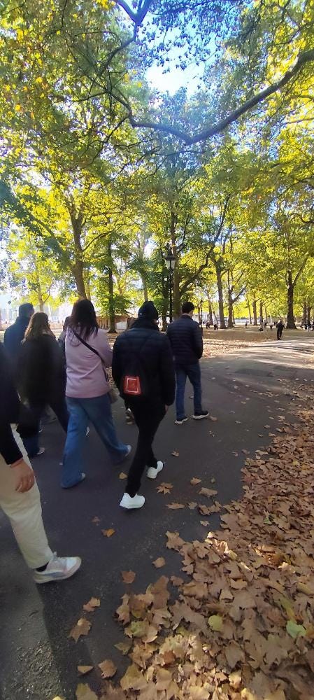 Foto 4 de 8