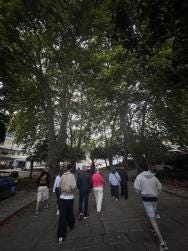 Foto 1 de 1