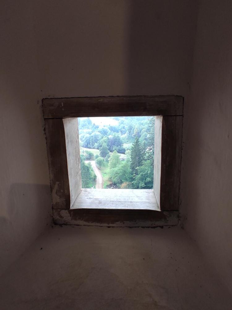 Foto 2 di 3