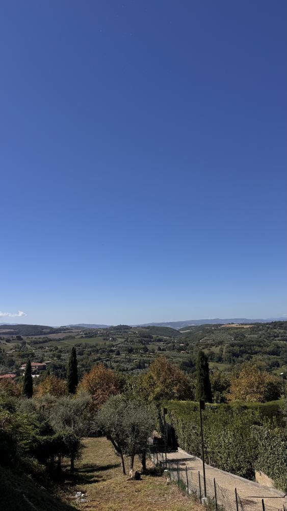Foto 2 de 6