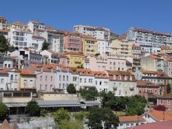 Foto 6 de 6