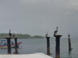Foto 1 de 1