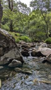 Foto 3 de 6