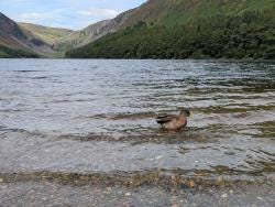 Foto 4 de 6
