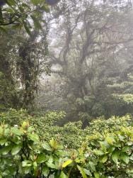 Foto 2 de 5
