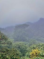 Foto 3 de 5