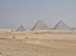Photo {1} sur {2}