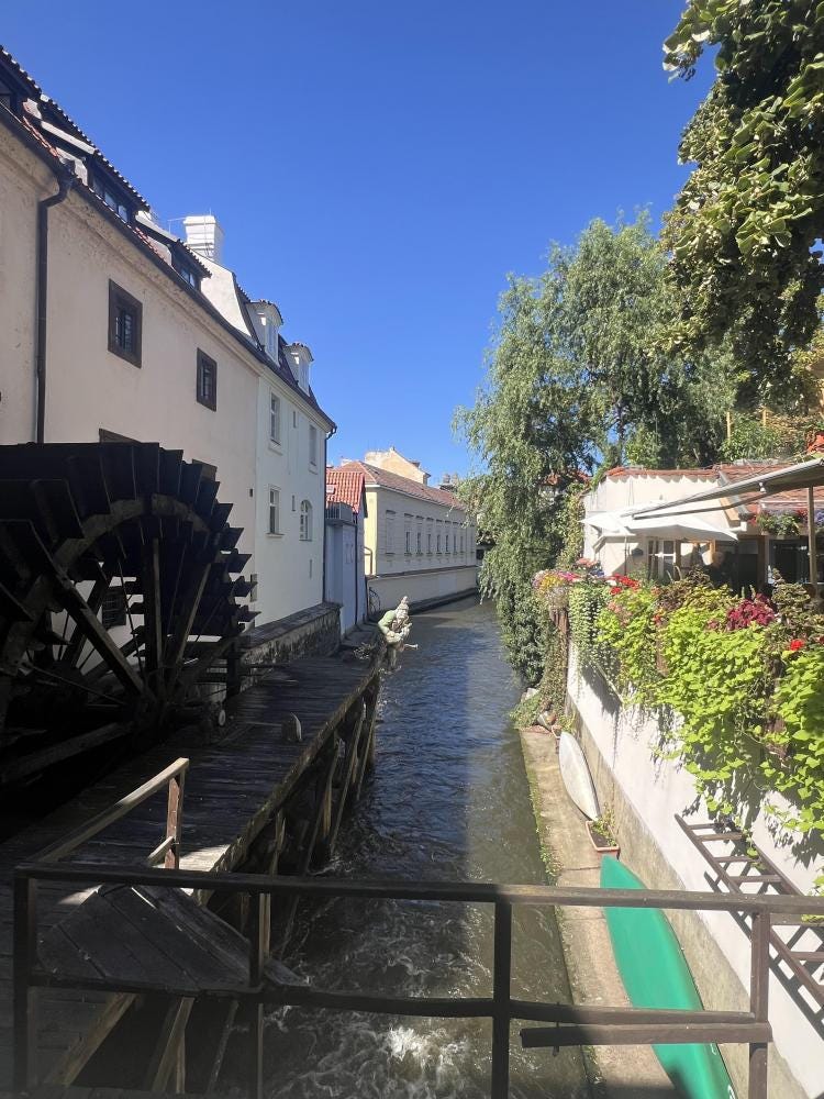 Foto 2 di 2