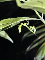 Foto 2 de 2
