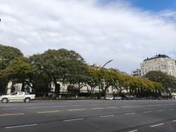 Foto 4 de 7